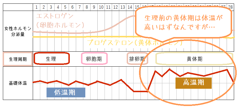 生理中に白髪染めは危険 6つの悪影響とベストな対応策を徹底解説